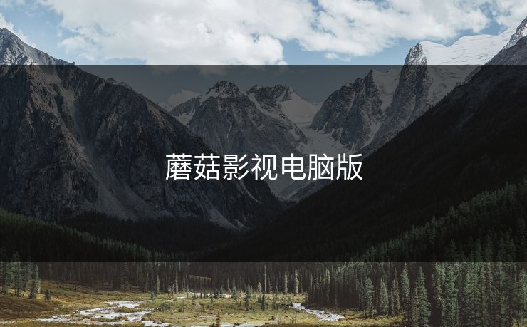 蘑菇影视电脑版