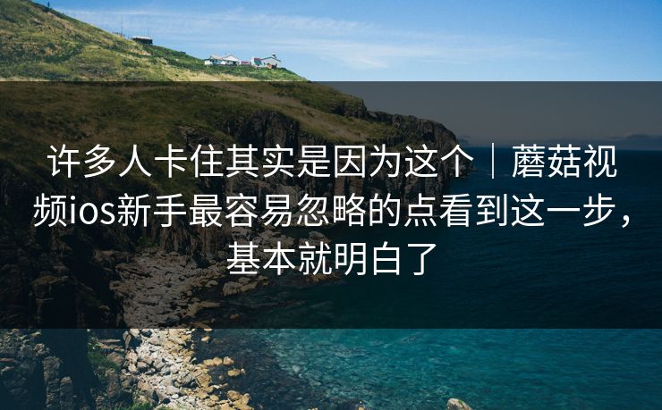 许多人卡住其实是因为这个｜蘑菇视频ios新手最容易忽略的点看到这一步，基本就明白了