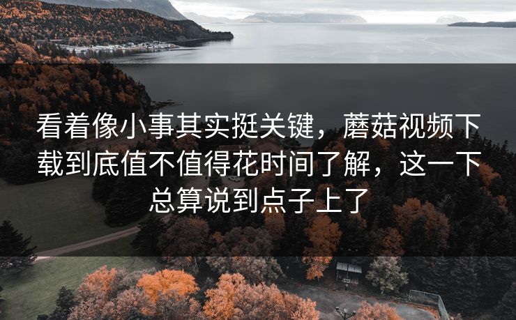 看着像小事其实挺关键，蘑菇视频下载到底值不值得花时间了解，这一下总算说到点子上了
