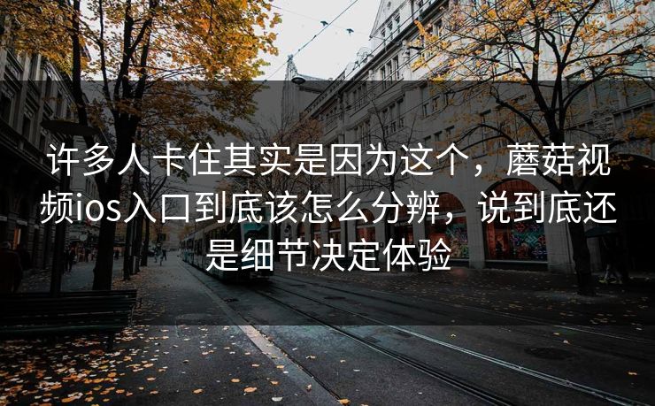 许多人卡住其实是因为这个，蘑菇视频ios入口到底该怎么分辨，说到底还是细节决定体验