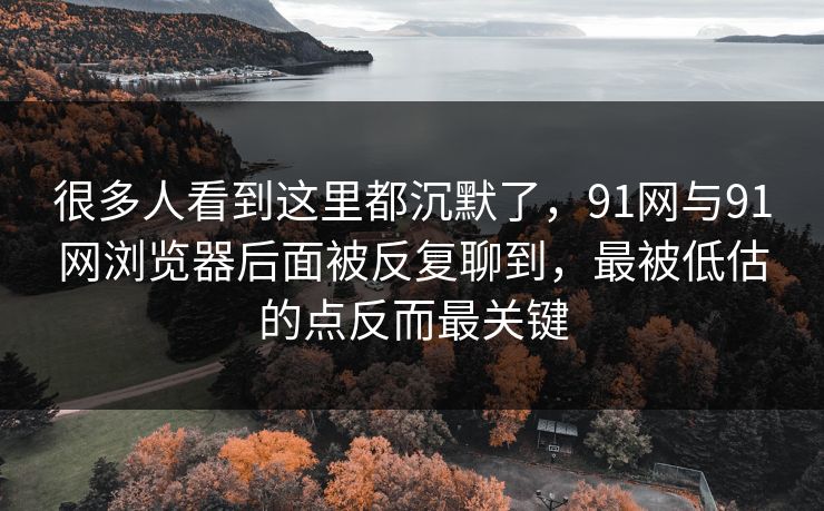 很多人看到这里都沉默了，91网与91网浏览器后面被反复聊到，最被低估的点反而最关键