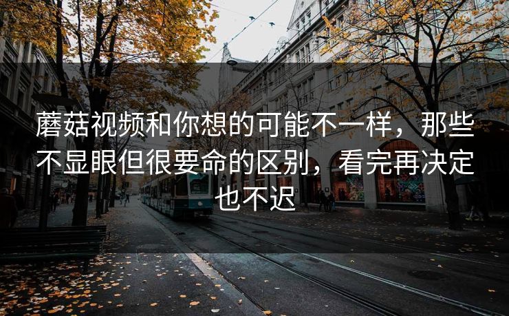 蘑菇视频和你想的可能不一样，那些不显眼但很要命的区别，看完再决定也不迟