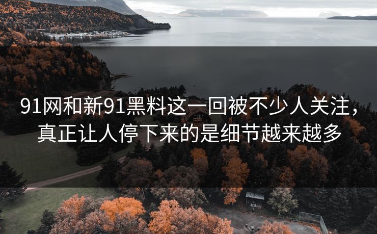 91网和新91黑料这一回被不少人关注，真正让人停下来的是细节越来越多