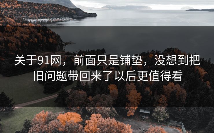 关于91网，前面只是铺垫，没想到把旧问题带回来了以后更值得看