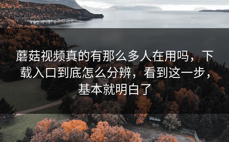 蘑菇视频真的有那么多人在用吗，下载入口到底怎么分辨，看到这一步，基本就明白了
