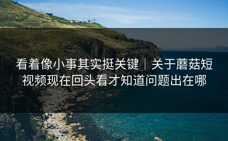 看着像小事其实挺关键｜关于蘑菇短视频现在回头看才知道问题出在哪