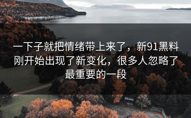 一下子就把情绪带上来了，新91黑料刚开始出现了新变化，很多人忽略了最重要的一段