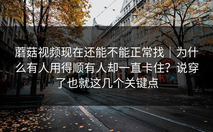 蘑菇视频现在还能不能正常找｜为什么有人用得顺有人却一直卡住？说穿了也就这几个关键点