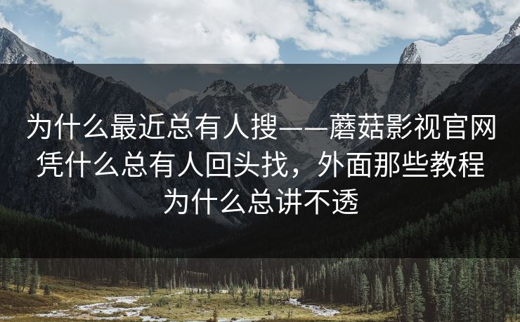 为什么最近总有人搜——蘑菇影视官网凭什么总有人回头找，外面那些教程为什么总讲不透