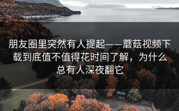 朋友圈里突然有人提起——蘑菇视频下载到底值不值得花时间了解，为什么总有人深夜翻它