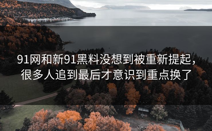 91网和新91黑料没想到被重新提起，很多人追到最后才意识到重点换了