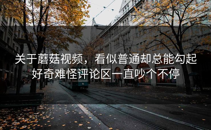 关于蘑菇视频，看似普通却总能勾起好奇难怪评论区一直吵个不停