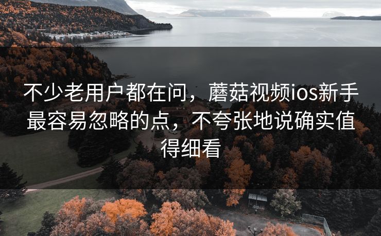 不少老用户都在问，蘑菇视频ios新手最容易忽略的点，不夸张地说确实值得细看